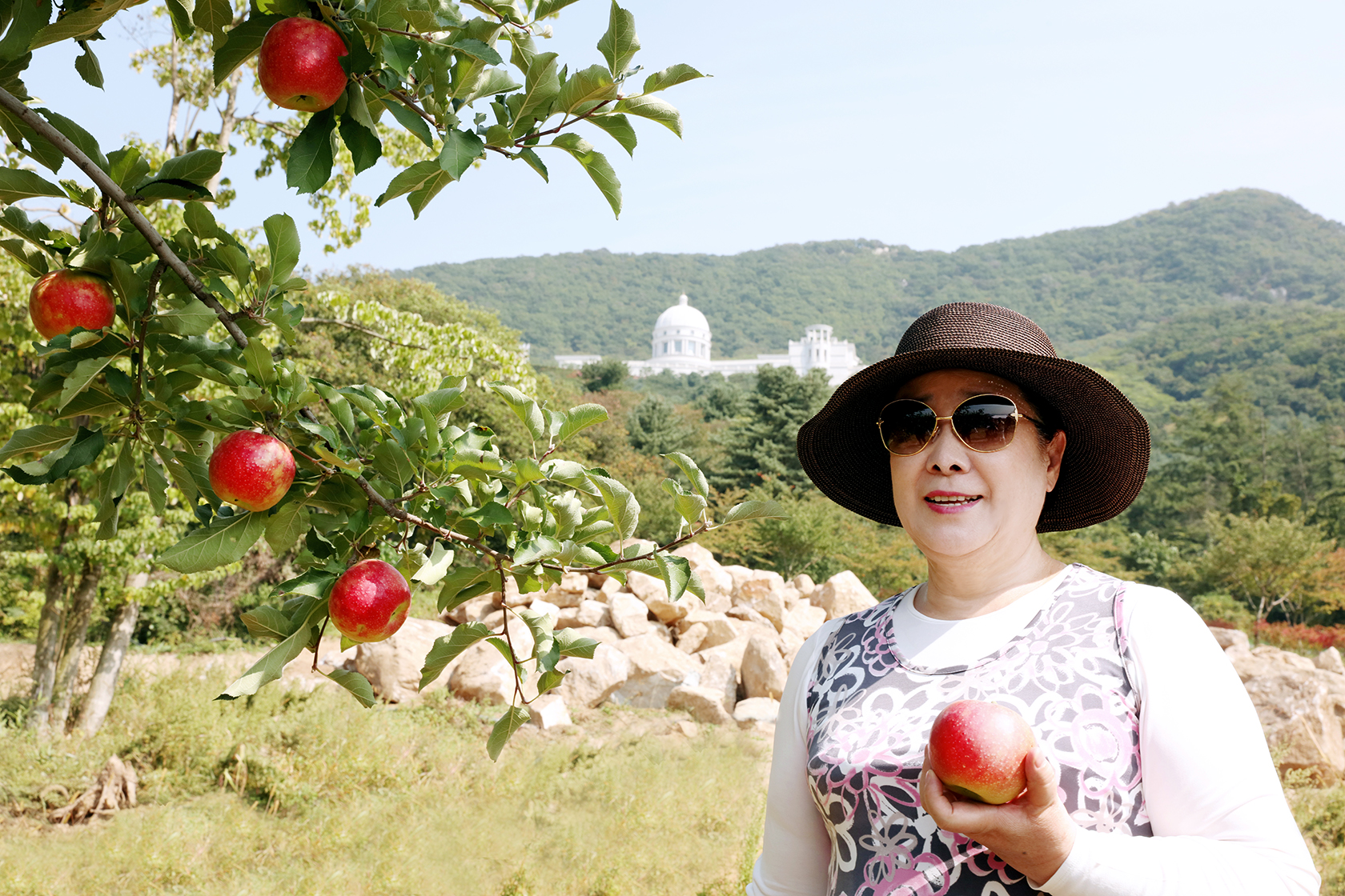 Apple Picking with the True Family (September 20, 2015) Cheongpyeong Apple Orchard