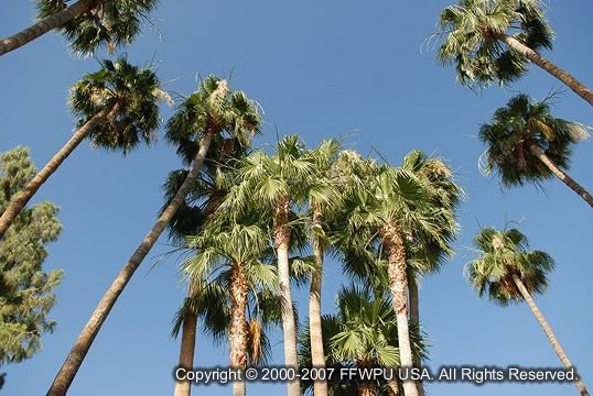 미국 순회 곽전숙님 Tempe, AZ 