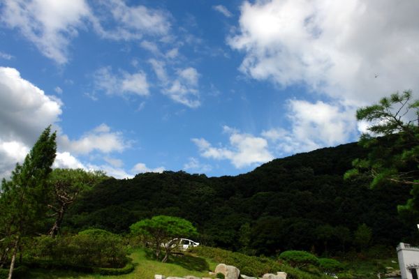 8月11日 清平訓読会