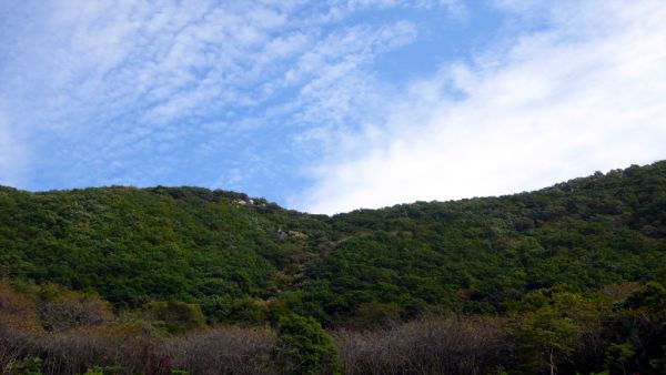 10月15日 果樹園散歩