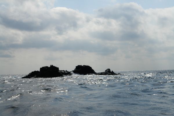 10月15日 巨文島釣り