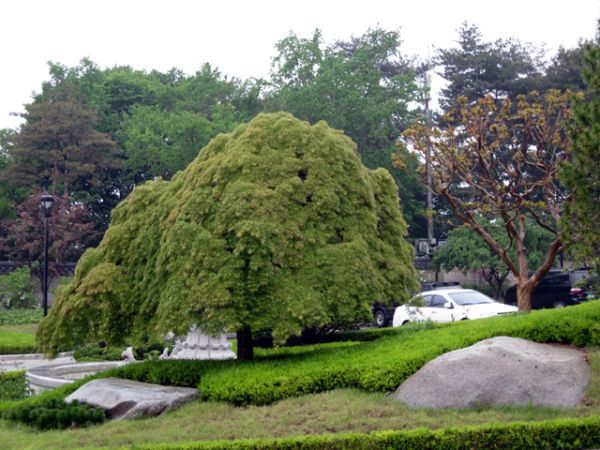 5月18日 清平訓読会