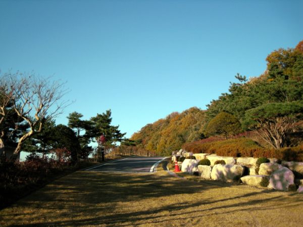 １１月 ３日 りんご狩り 