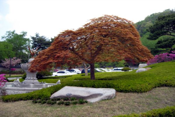 5月3日 天正宮 訓読会